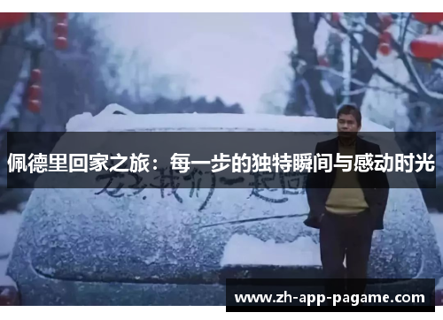 佩德里回家之旅：每一步的独特瞬间与感动时光