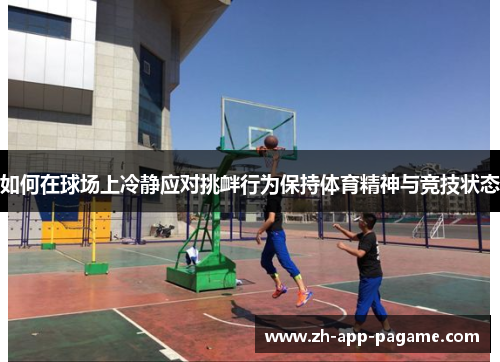 如何在球场上冷静应对挑衅行为保持体育精神与竞技状态