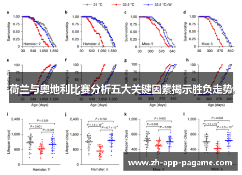 荷兰与奥地利比赛分析五大关键因素揭示胜负走势