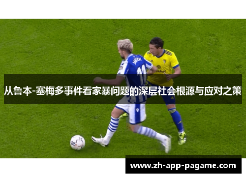 从鲁本-塞梅多事件看家暴问题的深层社会根源与应对之策