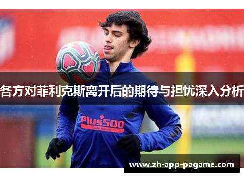 各方对菲利克斯离开后的期待与担忧深入分析