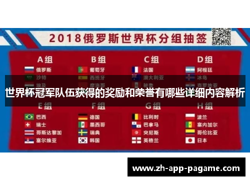 世界杯冠军队伍获得的奖励和荣誉有哪些详细内容解析