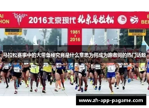 马拉松赛事中的大带鱼梗究竟是什么意思为何成为跑者间的热门话题