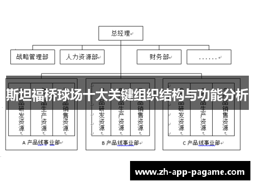 斯坦福桥球场十大关键组织结构与功能分析 斯坦福桥球场十大关键组织结构与功能分析