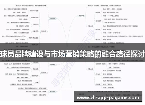 球员品牌建设与市场营销策略的融合路径探讨