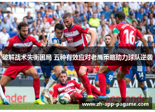 破解战术失衡困局 五种有效应对老鹰策略助力球队逆袭