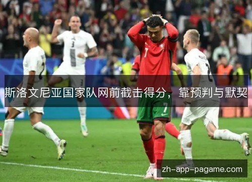 斯洛文尼亚国家队网前截击得分，靠预判与默契